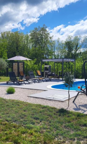 Villa Ruza, pet friendly villa with private pool and playground in Istria, Saturdays check in and out